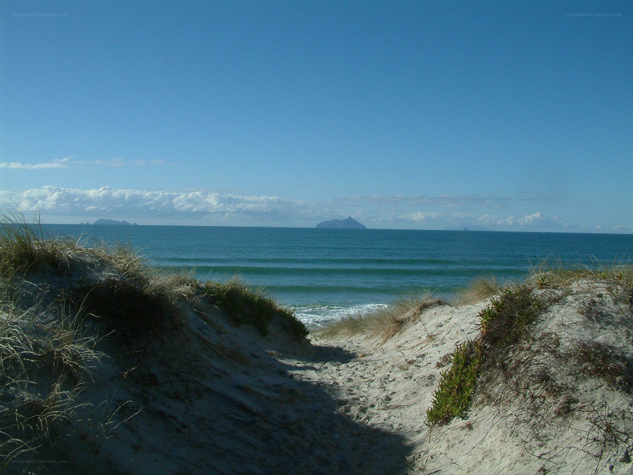Path to the beach through dunes