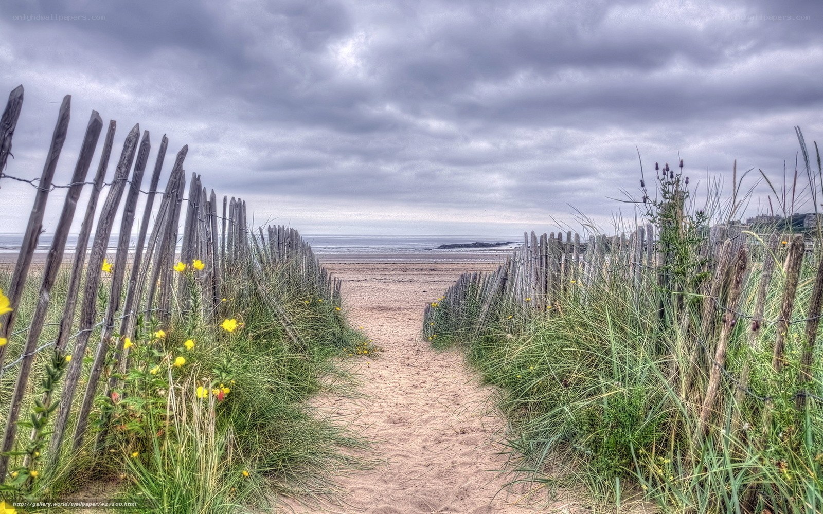Path to the beach through dunes