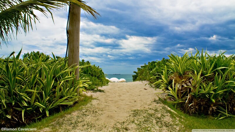Path to the beach under cloudy sky