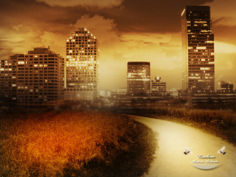 Path to the city at sunset