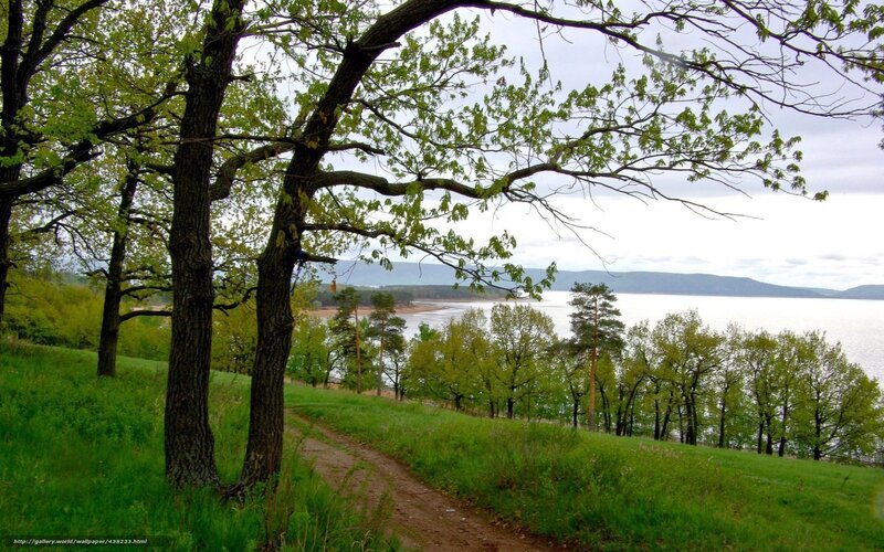 Path to the lake in spring