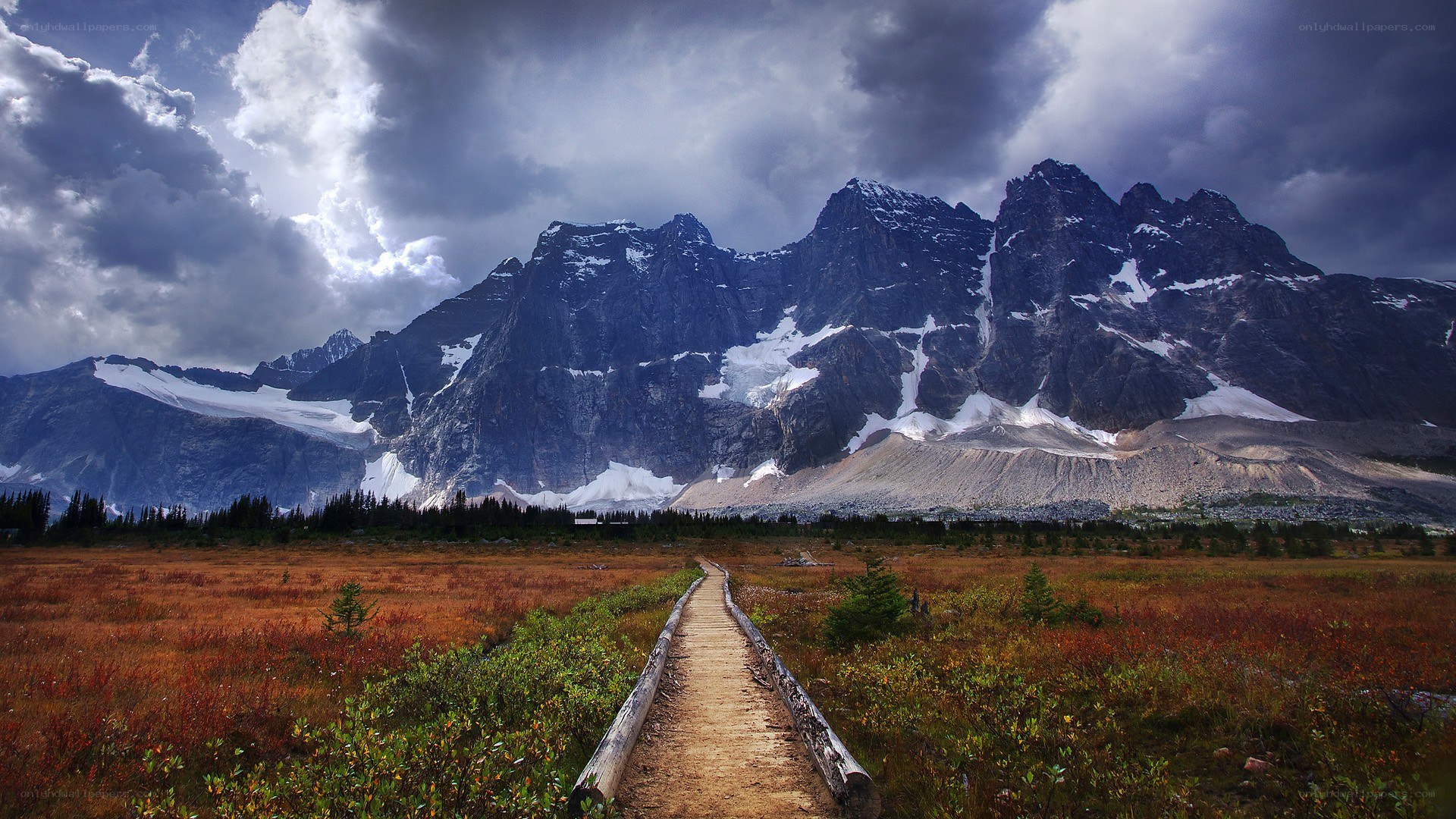 Path to the mountains