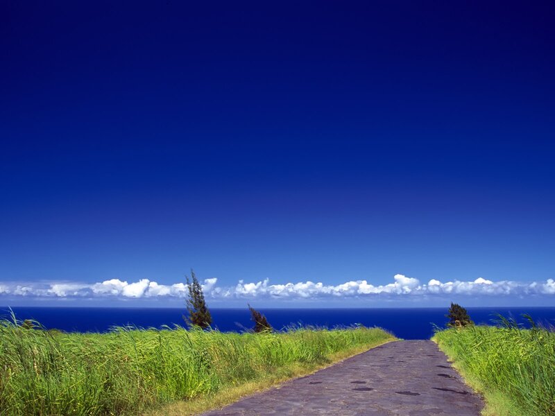 Path to the ocean