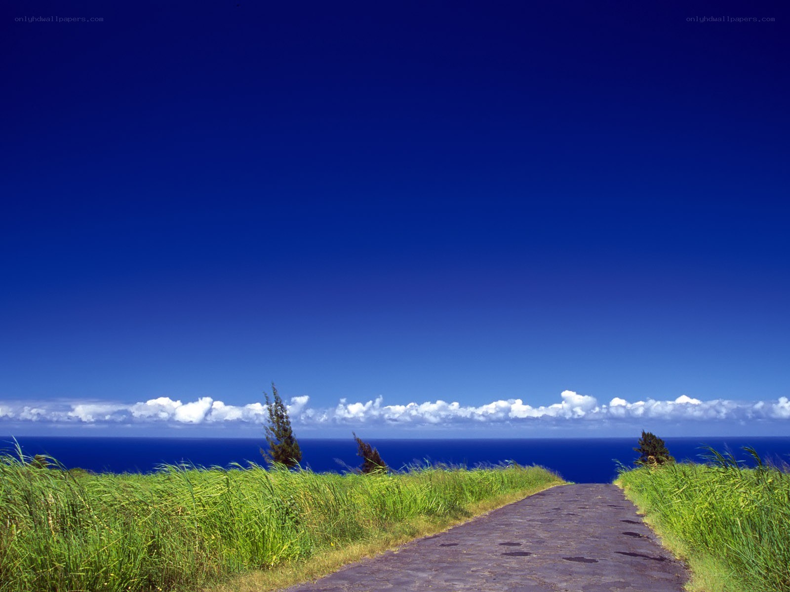 Path to the ocean