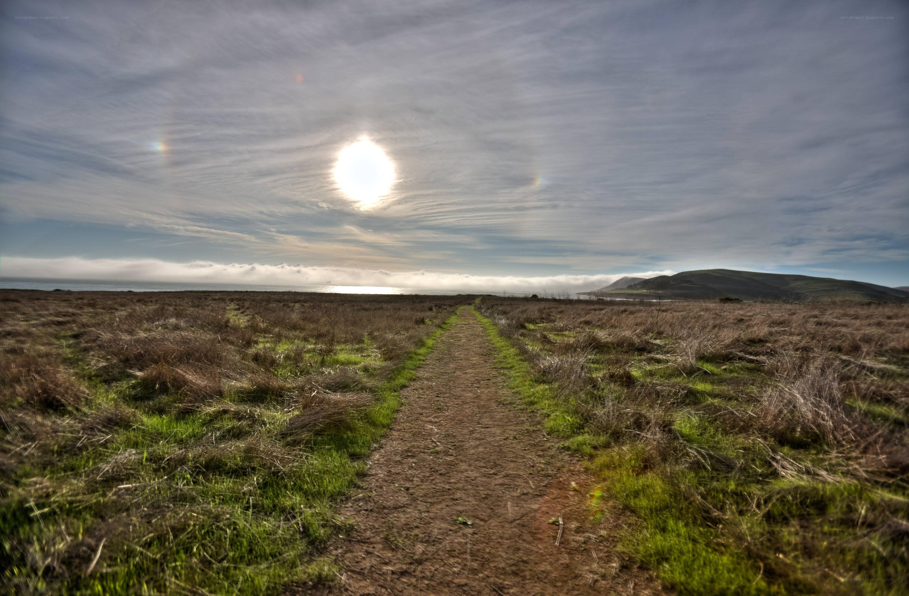 Path to the ocean at sunset