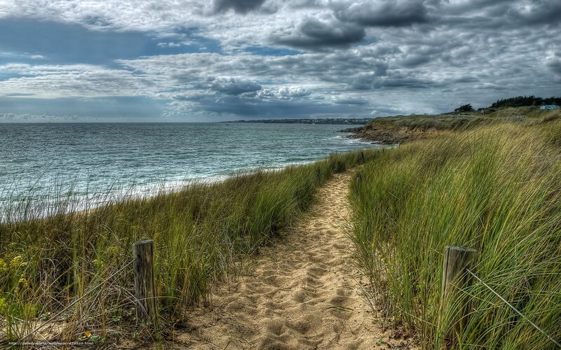 Path to the ocean beach