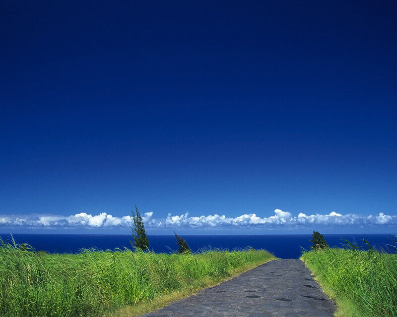Path to the ocean