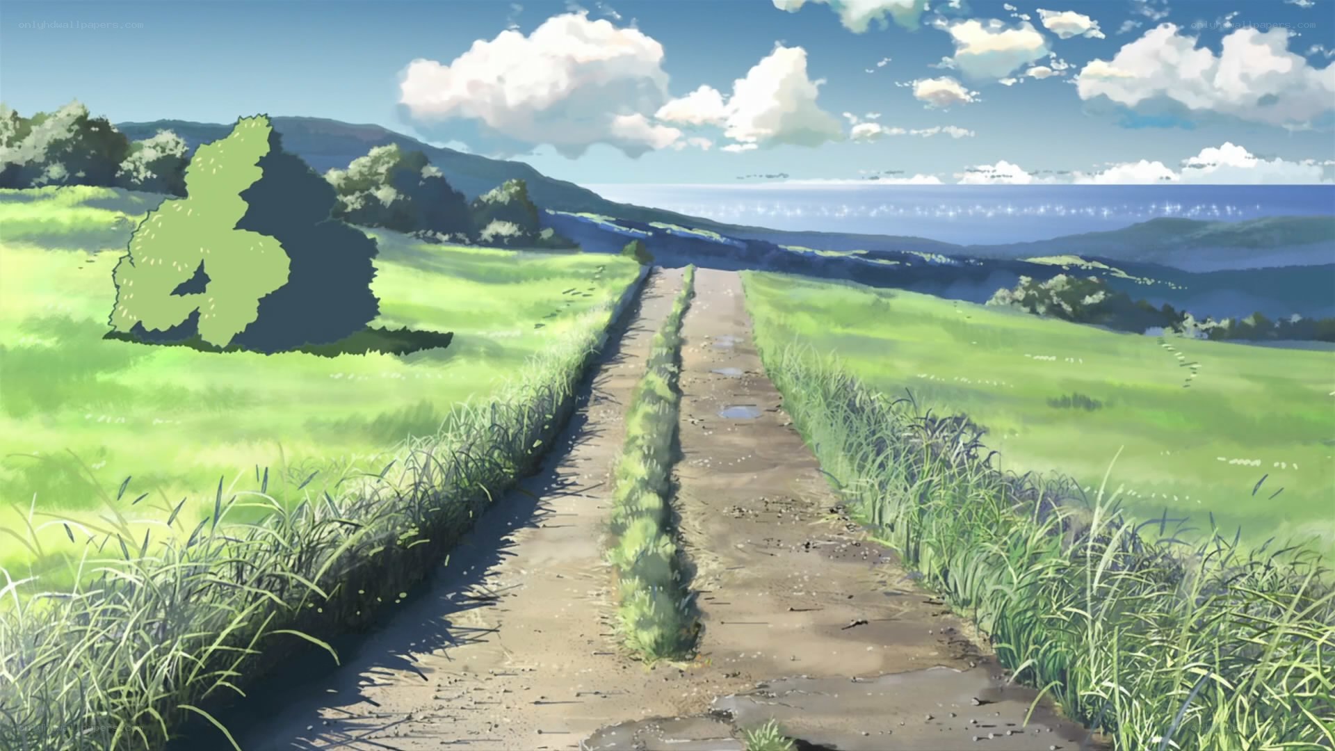 Path to the sea