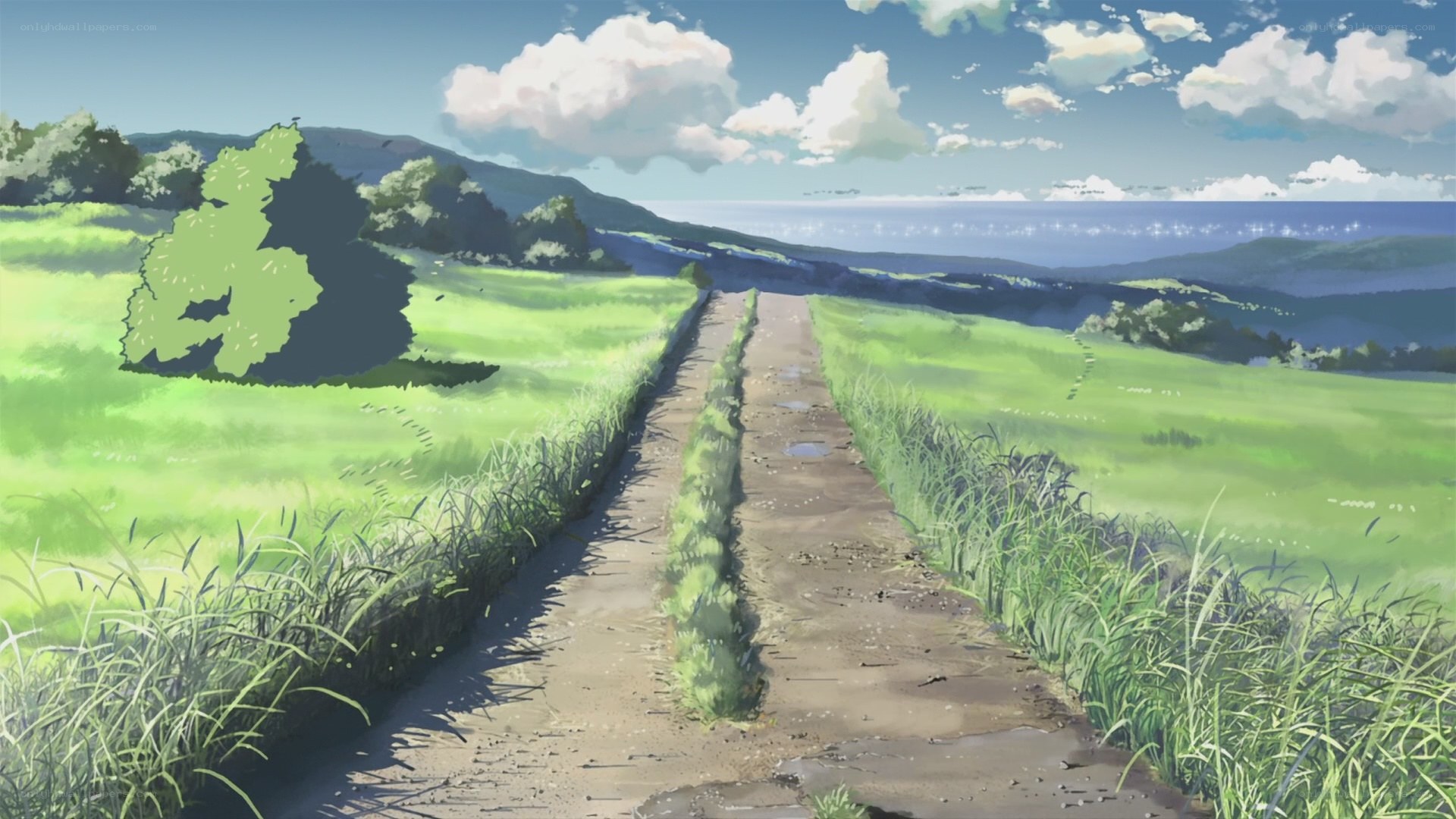 Path to the sea