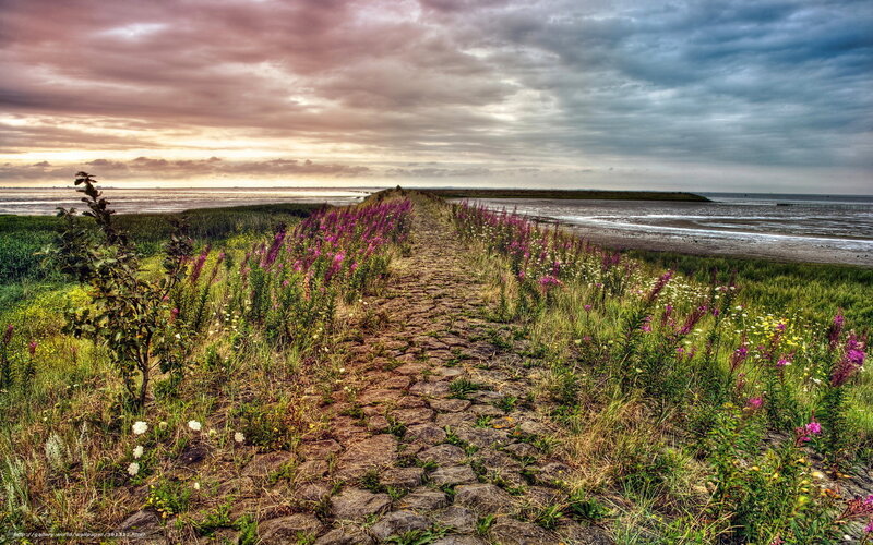Path to the Seashore at Dusk