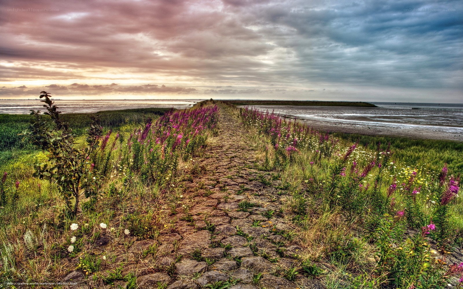 Path to the Seashore at Dusk