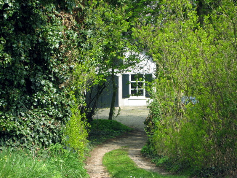Path to White House