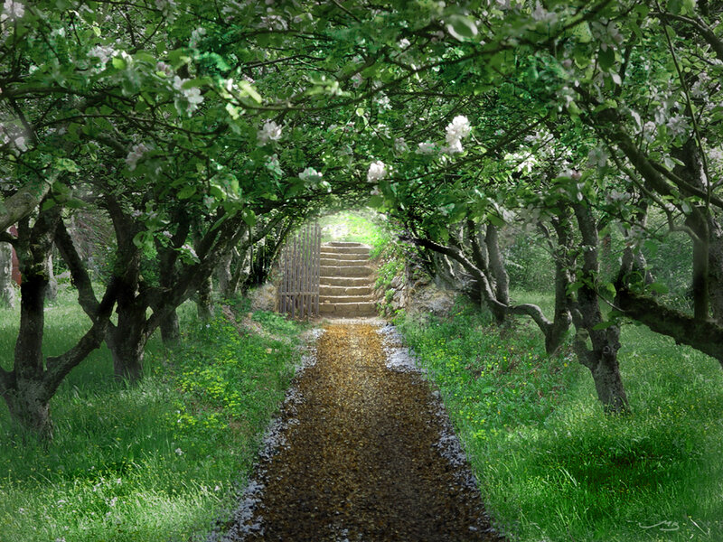 Path under Flowering Trees