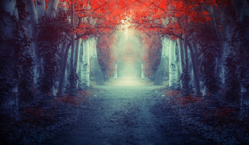 Path under Red-leafed Trees