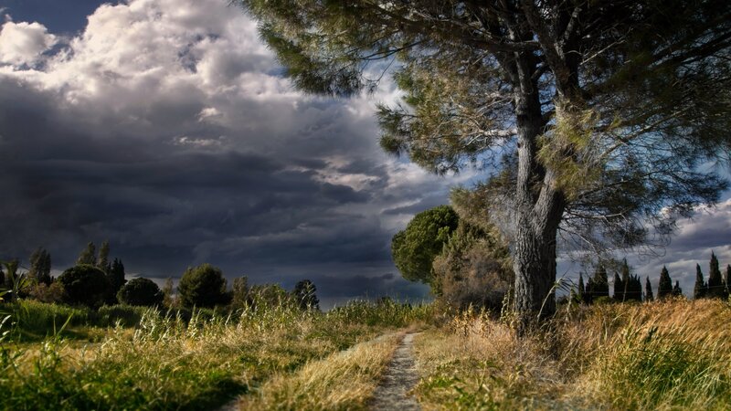 Path under Stormy Sky — Gray
