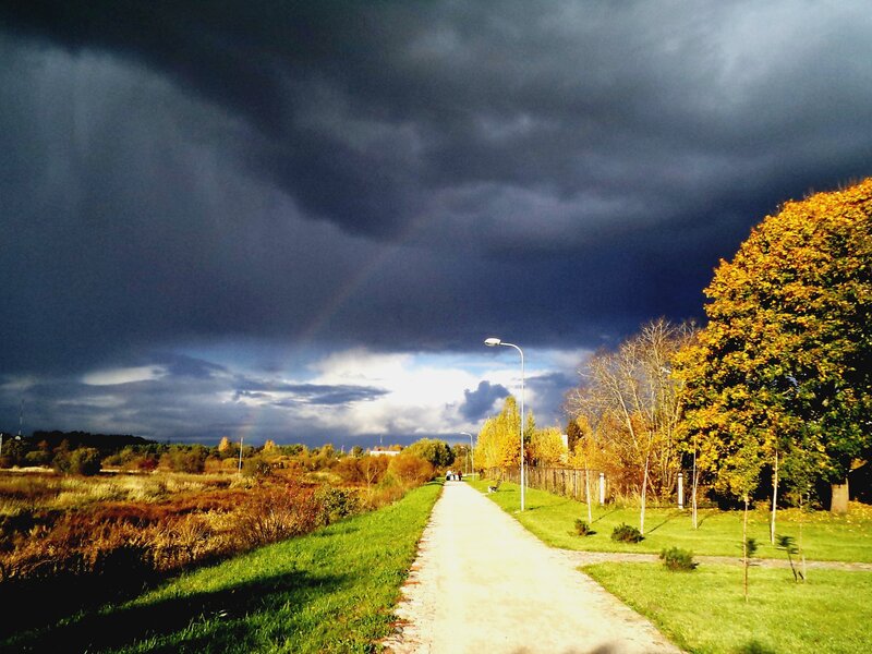 Path under Stormy Sky — Green