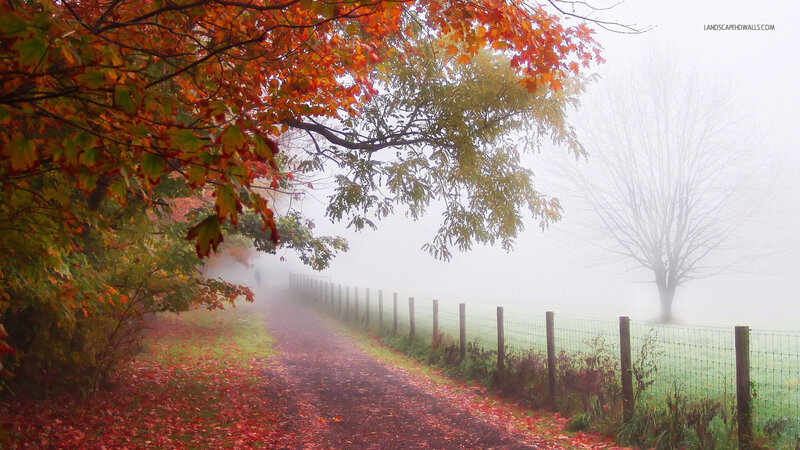 Path with Autumn Leaves — Red