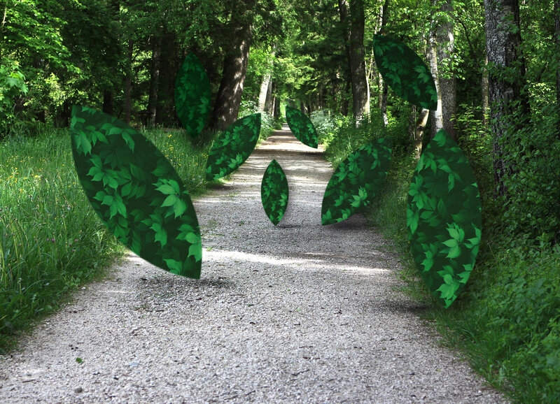 Path with Floating Leaves