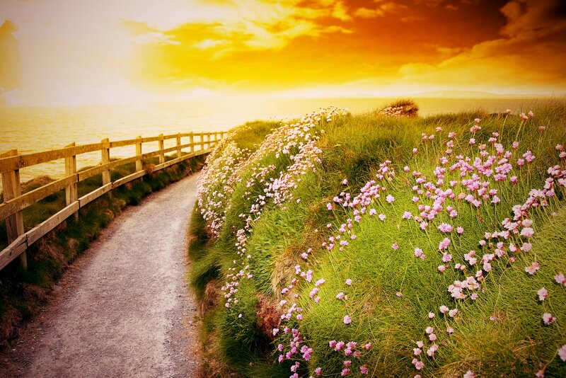 Path with Pink Flowers