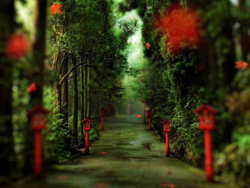 Path with Red Lanterns — Green, Serene, Autumn