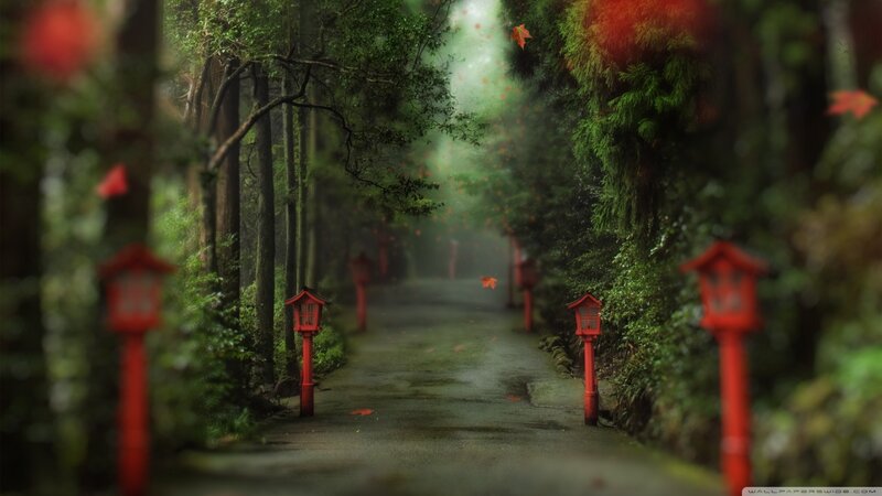 Path with Red Lanterns — Green, Serene