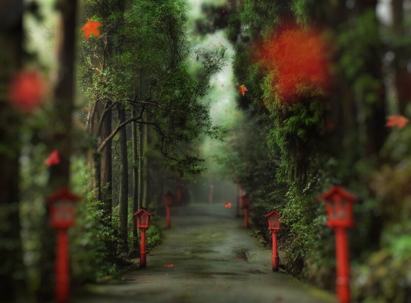 Path with Red Lanterns — Green