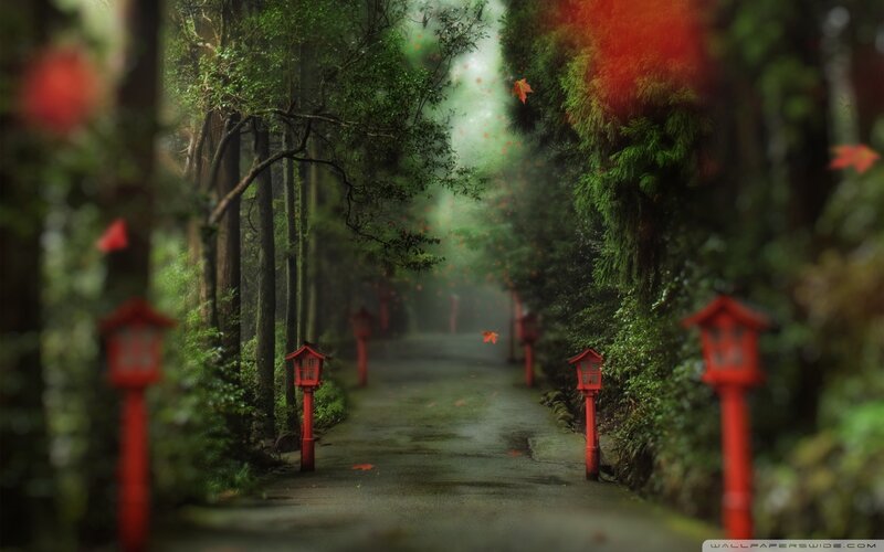 Path with Red Lanterns — Serene, Autumn, Photograph