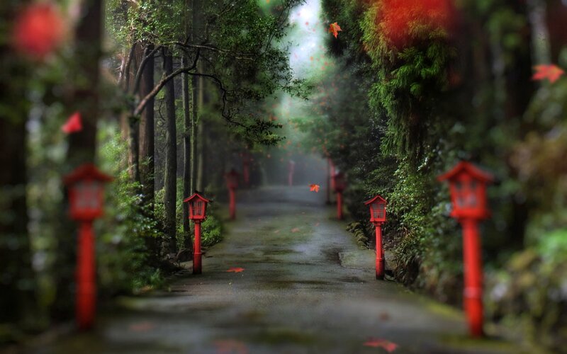 Path with Red Lanterns — Serene