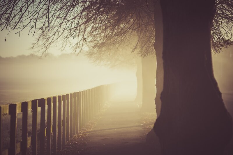 Path with Wooden Fence