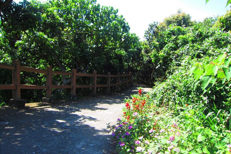 Path with Wooden Railing — Green, Serene