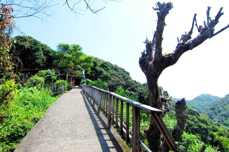 Path with Wooden Railing — Green