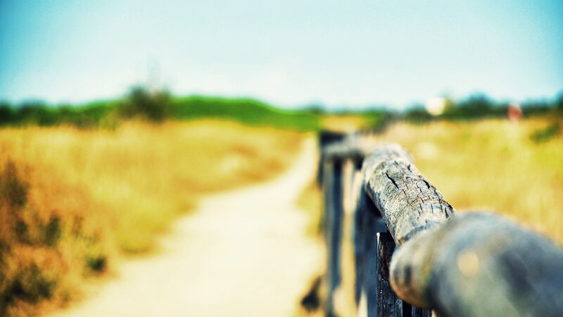 path with wooden railing