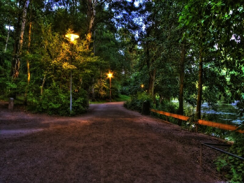 Pathway in a forest park