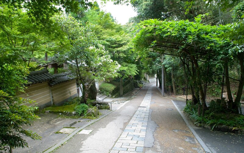 pathway in a Japanese garden