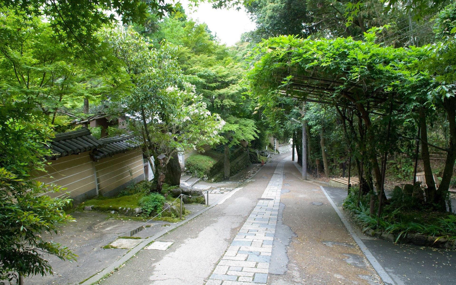 pathway in a Japanese garden