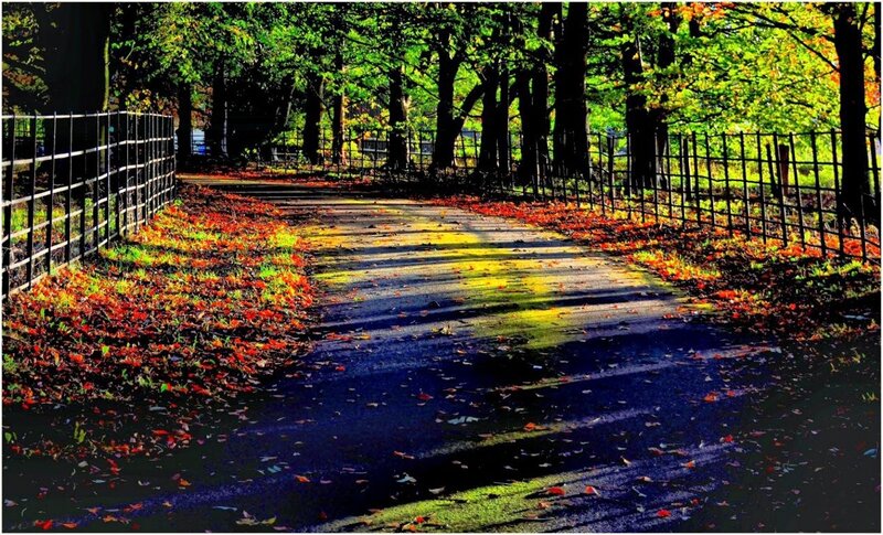 Pathway in Autumn Park — Green