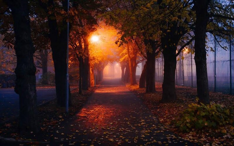 Pathway in Autumn Park — Orange, Serene, Night