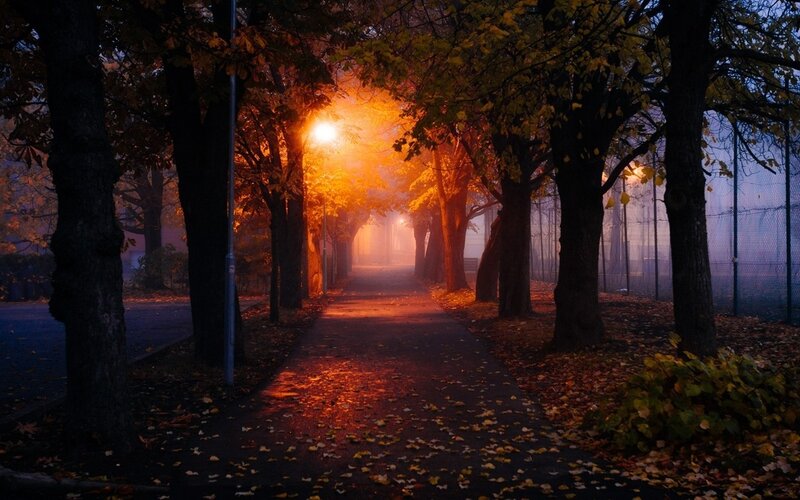 Pathway in Autumn Park — Orange, Serene