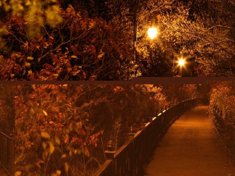 Pathway in Autumn Park