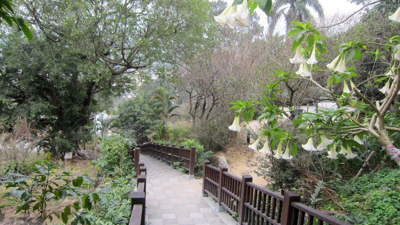 Pathway in Garden