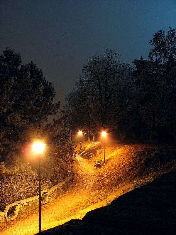 Pathway in Park at Night — Orange