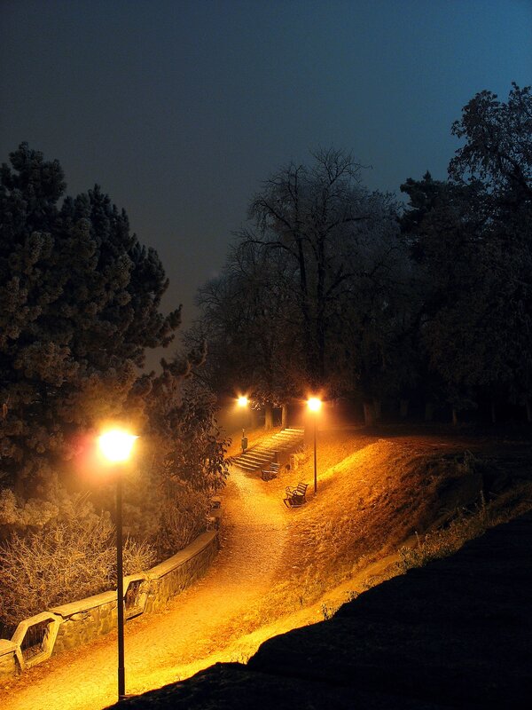 Pathway in Park at Night