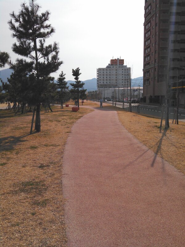 Pathway in urban park