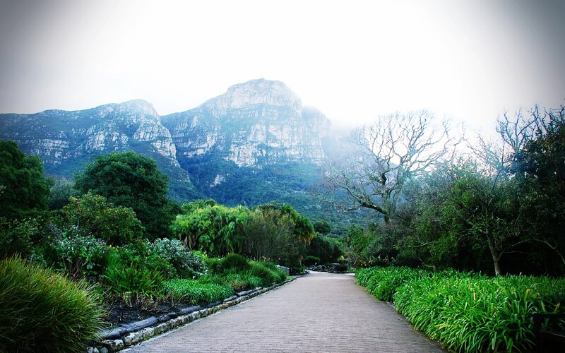 Pathway through a mountain garden