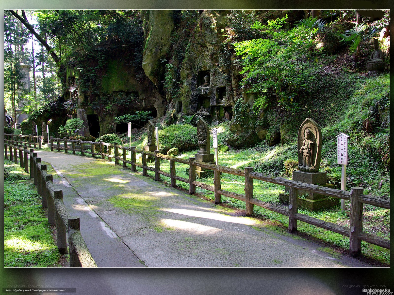 Pathway to stone Buddha statues
