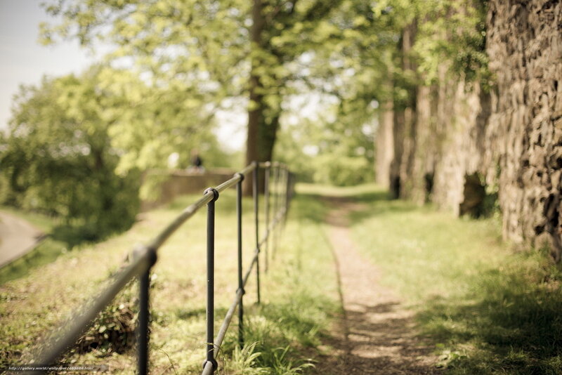 Pathway with railing and trees