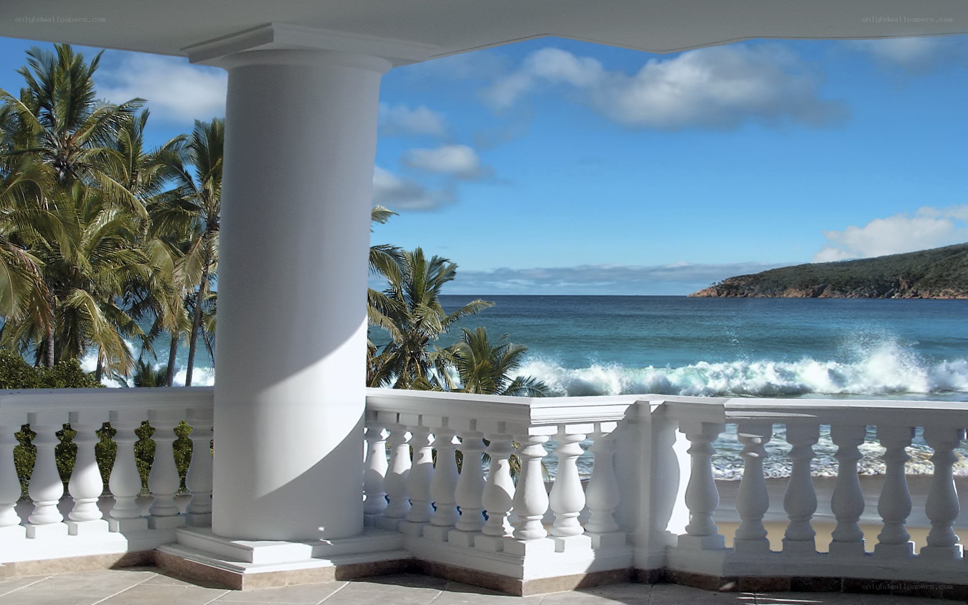Patio overlooking ocean and palm trees