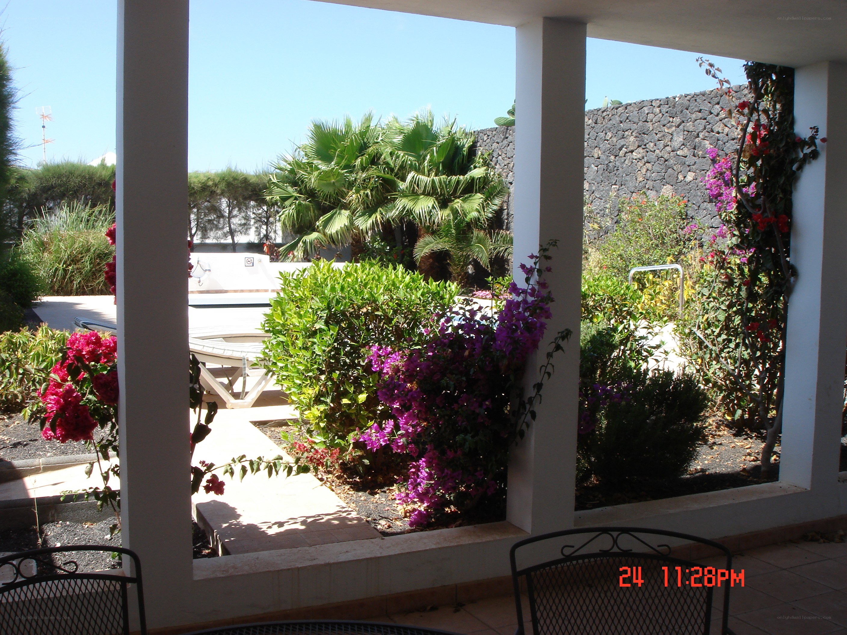 Patio with flowers and pool view