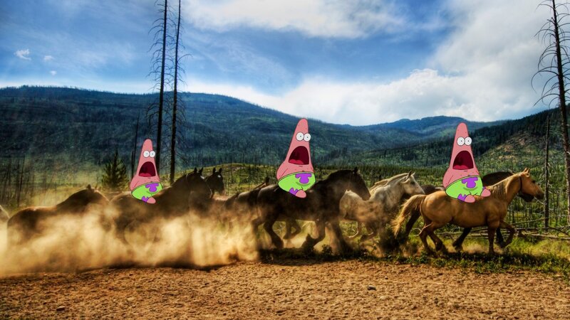 Patrick Star on Horses — Brown