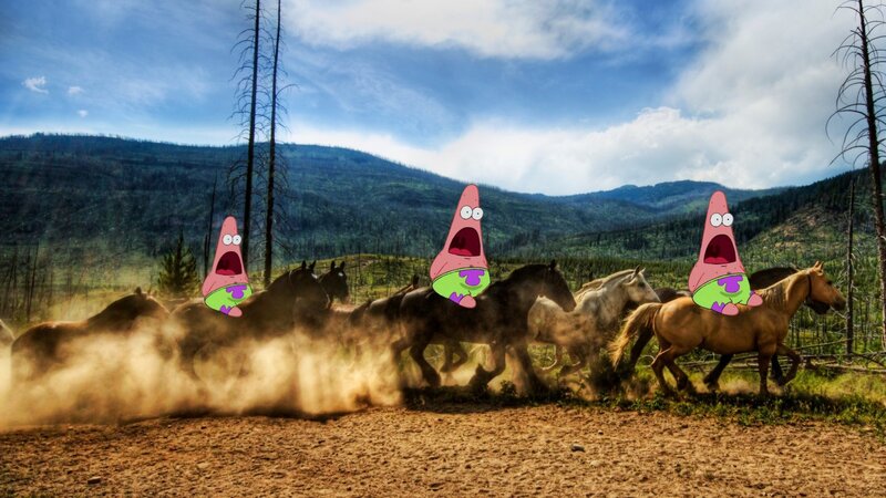 Patrick Star on horses